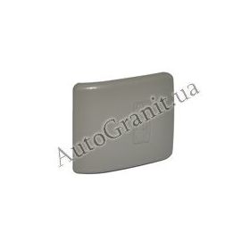 101801006900602 Ручка открывания капота CK2