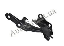 Петля капота правая на CHERY TIGGO T11-8402040-DY