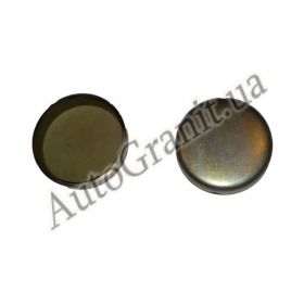 480-1003017 Заглушка ГБЦ передняя