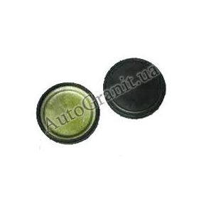 015409289AA Заглушка КПП