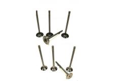 Клапан комплект 8 шт. на CHERY AMULET 480E-1007011/12