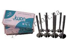 Клапан комплект 8 шт. на GREAT WALL SAFE 1007016-E00/1007018-E00